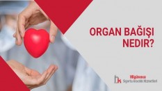 Organ Bağışı Nedir?