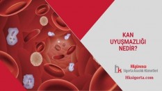 Kan Uyuşmazlığı Nedir?