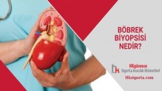 Böbrek Biyopsisi Nedir?