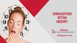 Sirkadiyen Ritim Nedir?