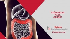 Bağırsaklar Nasıl Çalışır?