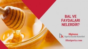 Bal ve Faydaları Nelerdir?