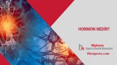 Hormon Nedir ve Nereden Salgılanıyor?