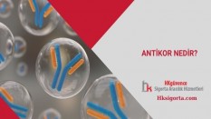 Antikor Nedir?
