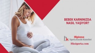 Bebek Karnınızda Nasıl Yaşıyor?