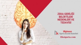 Zeka Geriliği Belirtileri Nedenleri ve Tedavisi