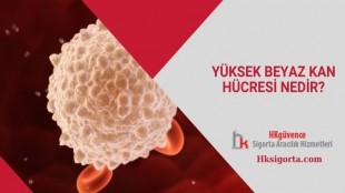 Yüksek Beyaz Kan Hücresi Nedir?