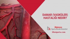 Damar (Vasküler) Hastalığı Nedir?