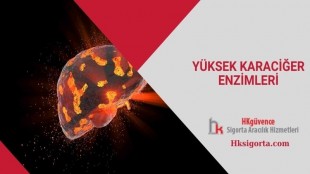 Yüksek Karaciğer Enzimleri